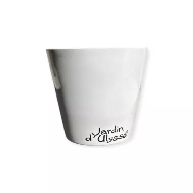 Petit pot coeur blanc