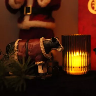 Lot de décorations de noël...